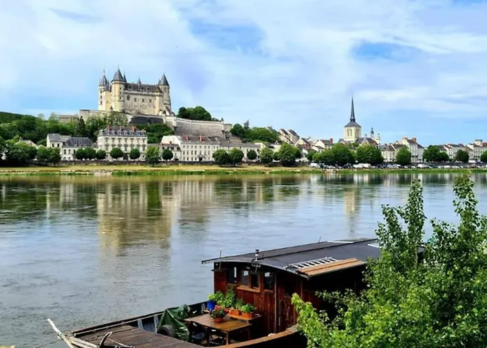Loire Et Château, Hyper Centre, Vue Loire, Linge Inclus, 3ème étage * Saumur